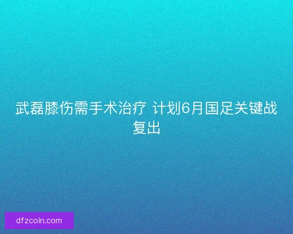 武磊膝伤需手术治疗 计划6月国足关键战复出 武磊膝伤需手术治疗 计划6月国足关键战复出