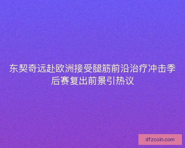 东契奇远赴欧洲接受腿筋前沿治疗冲击季后赛复出前景引热议 东契奇远赴欧洲接受腿筋前沿治疗冲击季后赛复出前景引热议
